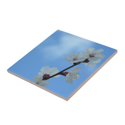 Floreal Keramik Tile Fliese (Seite)