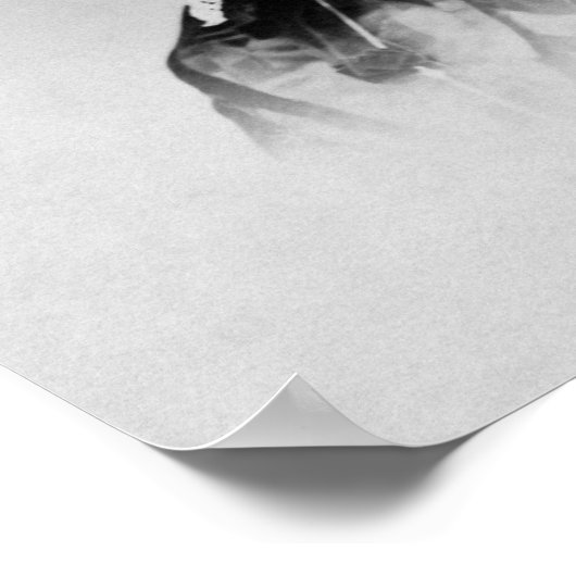 Florence Nightingale - Founder Of Modern Nursing Poster (Ecke)