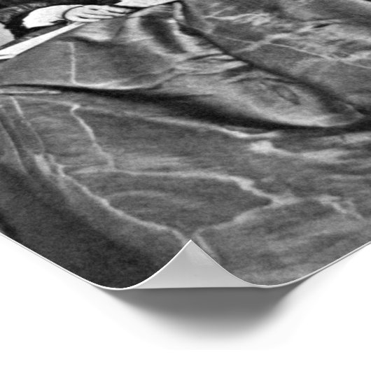 Florence Nightingale Portrait - 1854 Poster (Ecke)