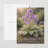 Florens tardiva The Late Bloomer Botanical Postkarte (Vorne/Hinten)