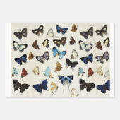 FLORENTINE RENAISSANCE BLAUE WIRBEL, BLUME GESCHENKPAPIER SET (Vorderseite 3)