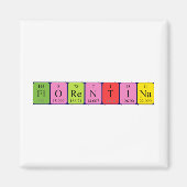 Florentiner Periodenmagnet Magnet (Vorne)