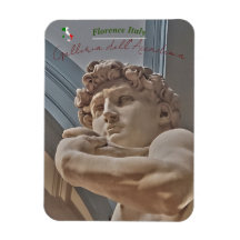 Florenz Italien - David