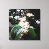flores brancas1 leinwanddruck (Vorderseite)