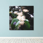 flores brancas1 leinwanddruck (Insitu (Holzboden))