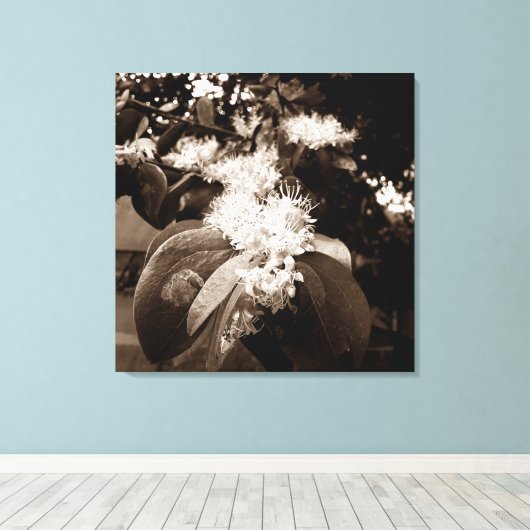 flores brancas2 leinwanddruck (Insitu (Holzboden))
