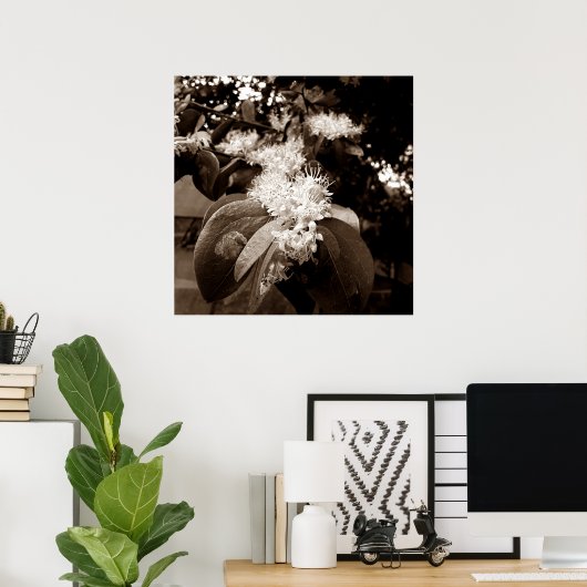 flores brancas2 poster (Heimbüro)