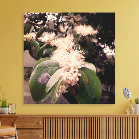 flores brancas3 leinwanddruck (Insitu (Wohnzimmer))