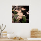 flores brancas3 poster (Küche)