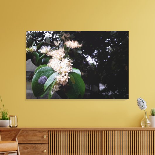 flores brancas leinwanddruck (Insitu (Wohnzimmer))