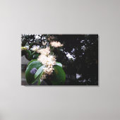 flores brancas leinwanddruck (Vorderseite)