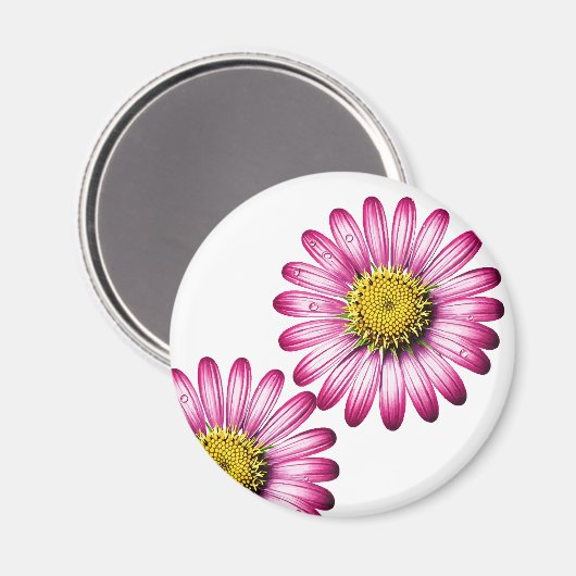 Flores de Gérbera Magnet (Vorderseite/Rückseite)