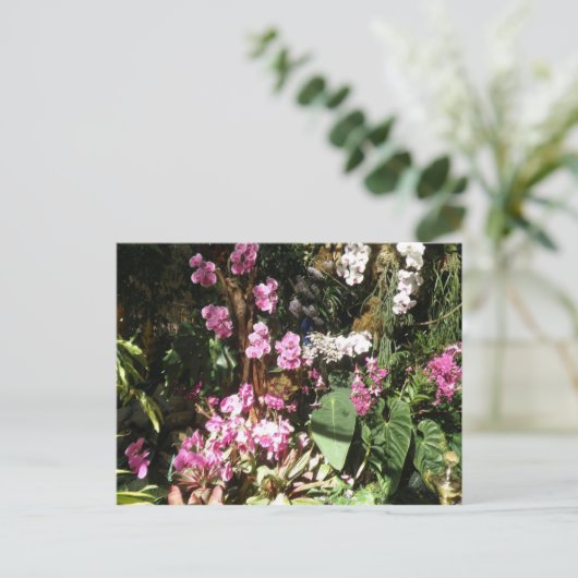 Flores de Orquideas Postkarte (Stehend Vorderseite)