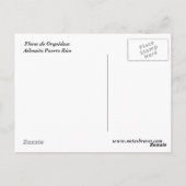 Flores de Orquideas Postkarte (Rückseite)