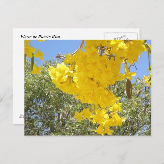 Flores de Puerto Rico Postkarte (Vorne/Hinten)