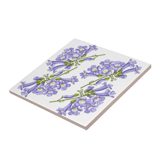 Flores do Brasil jacaranda Fliese (Seite)