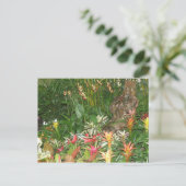 Flores en Aibonito Postkarte (Stehend Vorderseite)