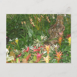 Flores en Aibonito Postkarte