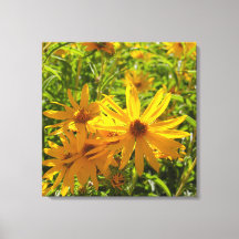 Flores en mi hierbas " Blume in meinem Unkraut "