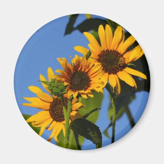 Flores en mi hierbas " Blume in meinem Unkraut " Magnet (Vorne)