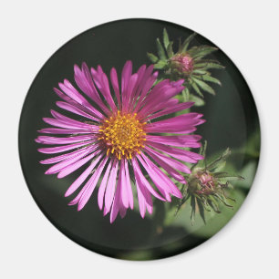 Flores en mi hierbas " Blume in meinem Unkraut " Magnet