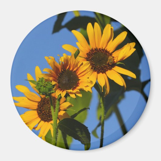 Flores en mi hierbas " Blume in meinem Unkraut " Magnet (Vorne)