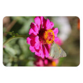 Flores en mi hierbas " Blume in meinem Unkraut " Magnet (Horizontal)