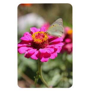 Flores en mi hierbas " Blume in meinem Unkraut " Magnet
