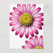 flores gérbera postkarte (Vorderseite)
