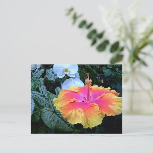 Flores. Postkarte (Stehend Vorderseite)