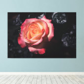 Floribunda Rose Sheila's Parfüm On Leinwand (Insitu (Holzboden))