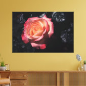 Floribunda Rose Sheila's Parfüm On Leinwand (Insitu (Wohnzimmer))
