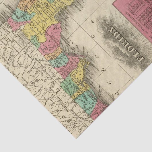 Florida 10 2 seidenpapier (Ausschnitt)