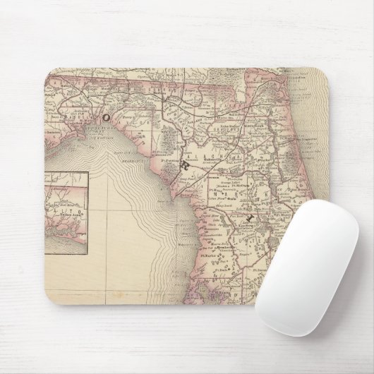 Florida 10 mousepad (Mit Mouse)