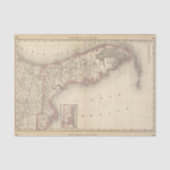 Florida 10 seidenpapier (Vorderseite)