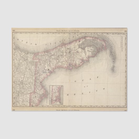 Florida 10 seidenpapier (Vorderseite)