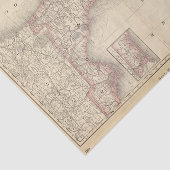 Florida 10 seidenpapier (Ausschnitt)