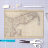 Florida 10 seidenpapier (Handwerk)