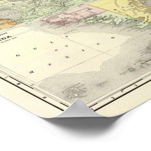 Florida 11 poster (Ecke)