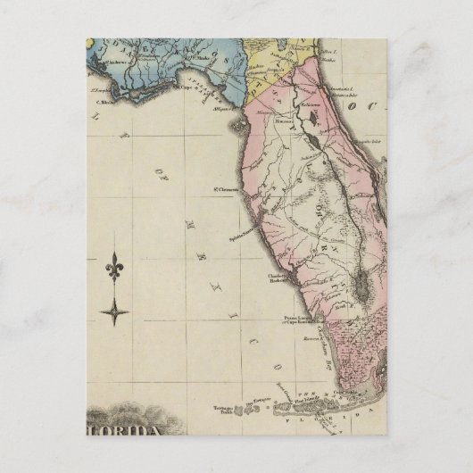 Florida 11 postkarte (Vorderseite)