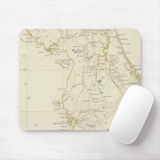 Florida 12 mousepad (Mit Mouse)