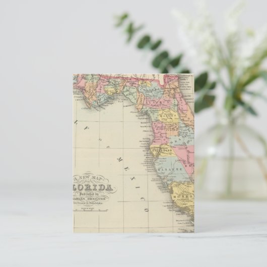 Florida 13 postkarte (Stehend Vorderseite)