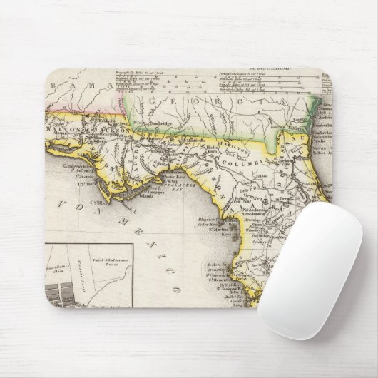 Florida 14 mousepad (Mit Mouse)