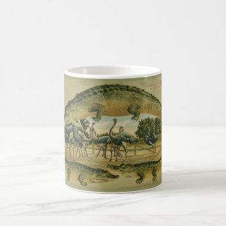 Florida 1905 Alligator-Rand-Tasse Kaffeetasse