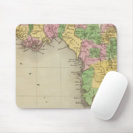 Florida 2 mousepad (Mit Mouse)