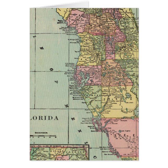 Florida 5 (Vorne)