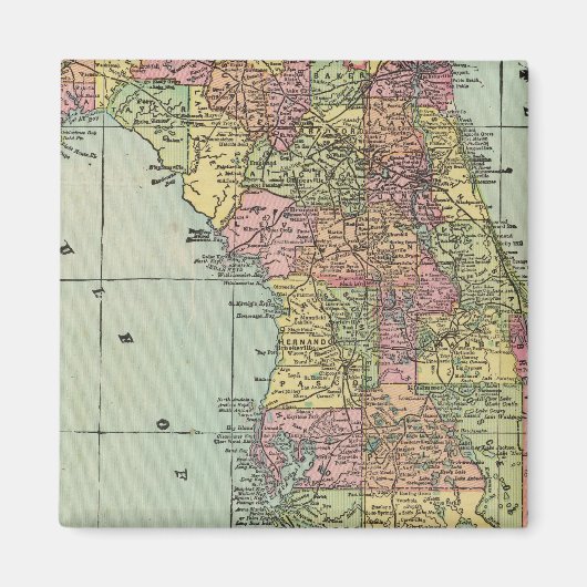 Florida 5 magnet (Vorne)