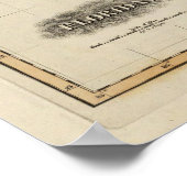 Florida 6 poster (Ecke)