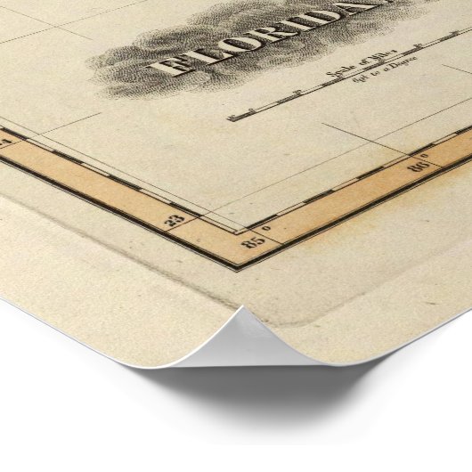 Florida 6 poster (Ecke)