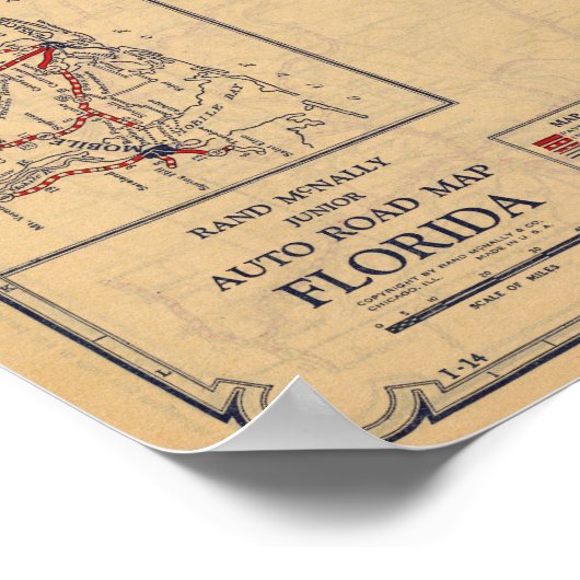 Florida 8 poster (Ecke)